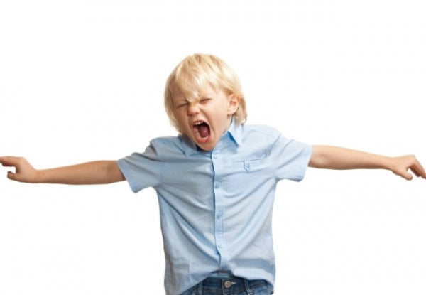 The Four Goals of Misbehavior Series: Part Two (Revenge and Inadequacy)