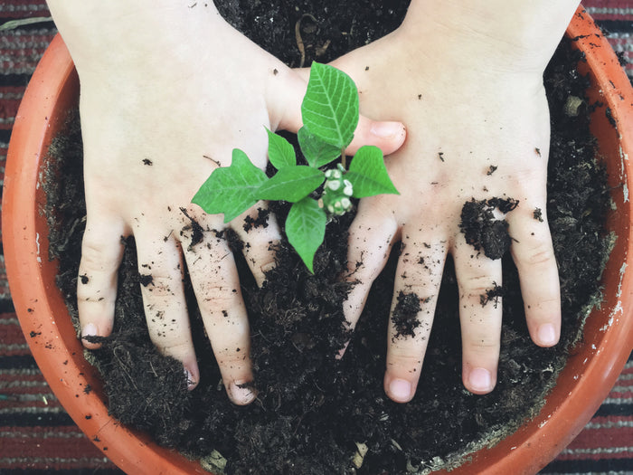 10 Mental Health Benefits of Gardening