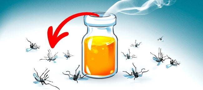 11 Fragrances That Kill Mosquitoes on the Spot